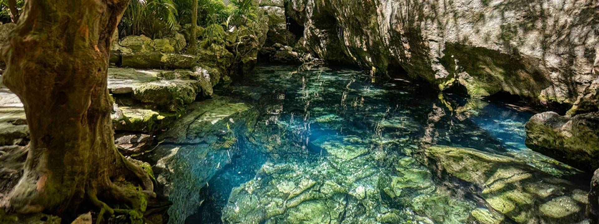 Vista impresionante del Cenote Azul, con aguas cristalinas rodeadas de naturaleza exuberante, ideal para nadar y relajarse cerca de Cancún. Un paraíso natural perfecto para explorar.