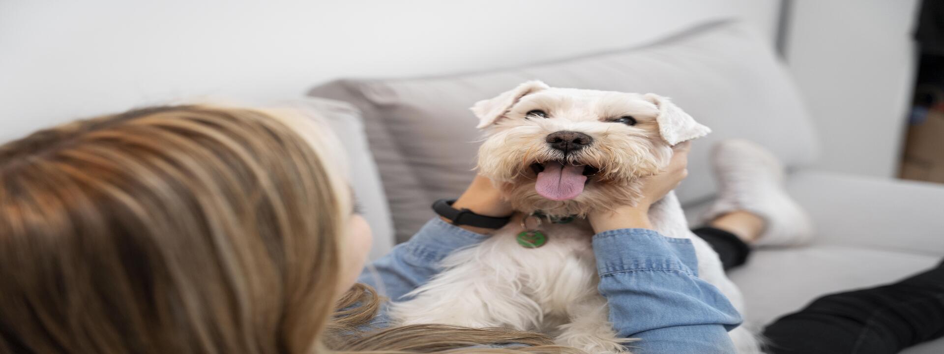 Perrito sentado junto a su dueño en una habitación, ambos sonriendo y disfrutando de un momento tranquilo juntos.