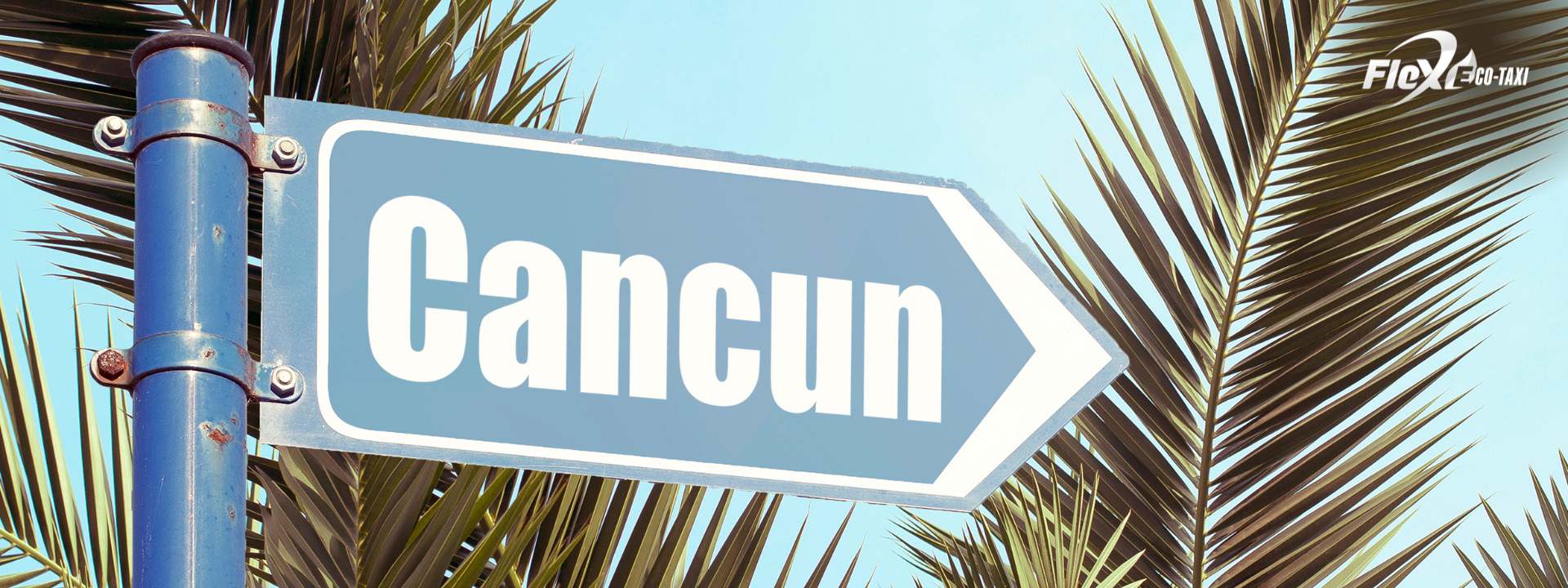 Discover cancun with the best transportation option