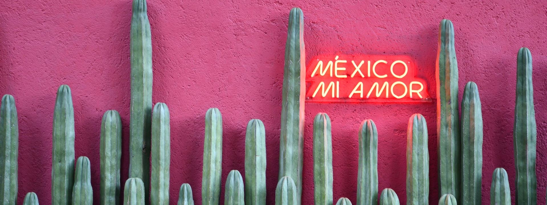 Vibrant 'México Mi Amor' mural in Mexico City’s Roma neighborhood, a must-visit Instagram spot for street art lovers.